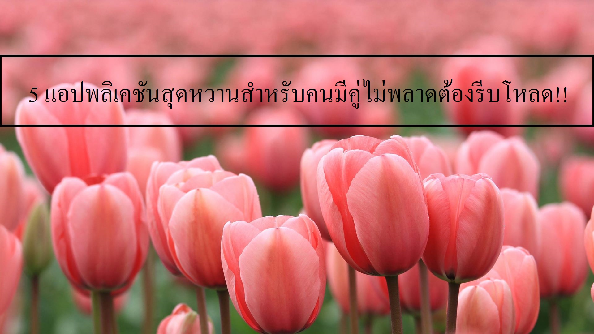 รับทำ app wewillapp บทความออนไลน์ รับทำเว็บไซต์ รับทำแอพพลิเคชัน