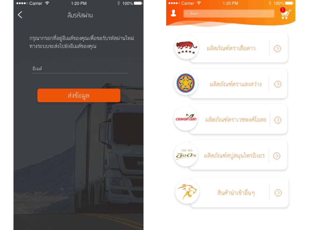 รับทำ app portfolio pic